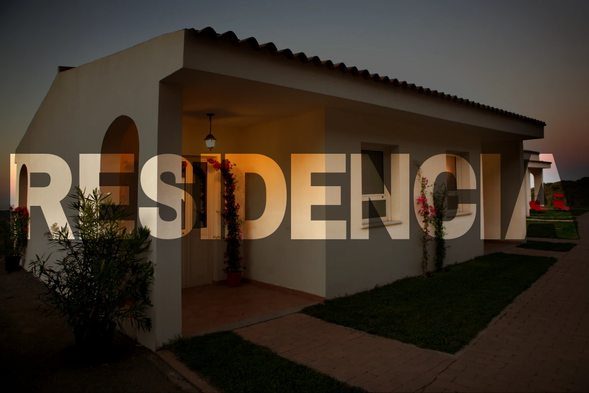 Dedetizadora dd protege