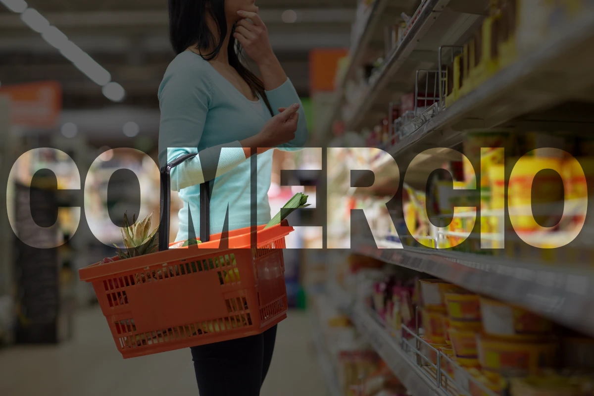 Dedetizadora dd protege