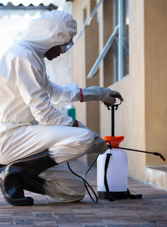 Dedetizadora dd protege