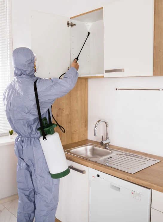 Dedetizadora dd protege