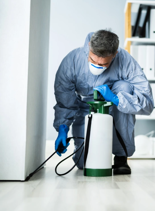 Dedetizadora dd protege